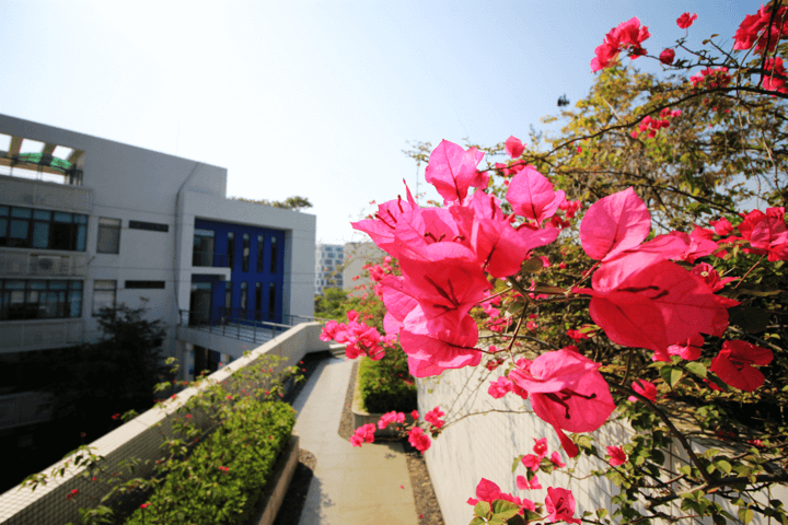 维多利亚老品牌vic(集团)官方网站