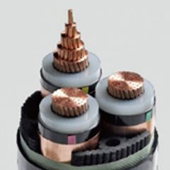 bte365(中国)唯一官方网站