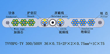 bte365(中国)唯一官方网站