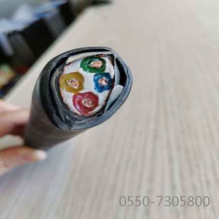 bte365(中国)唯一官方网站