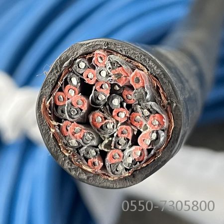 bte365(中国)唯一官方网站