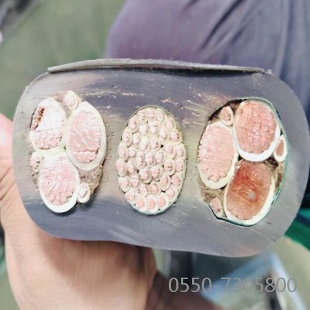 bte365(�й�)Ψһ�ٷ���վ