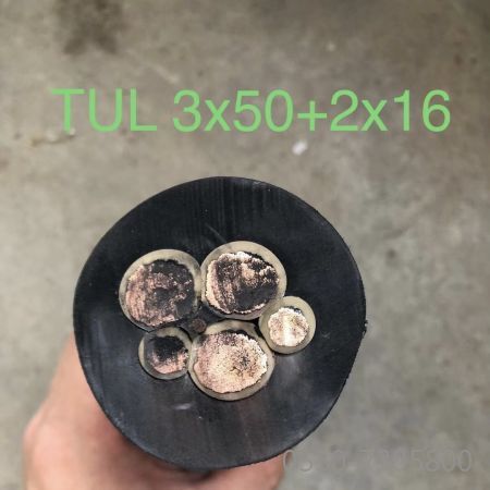 bte365(中国)唯一官方网站