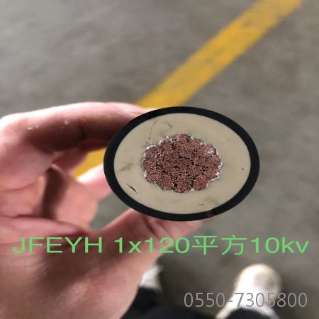bte365(中国)唯一官方网站