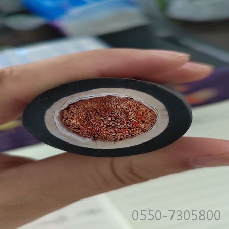bte365(中国)唯一官方网站