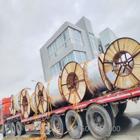 bte365(中国)唯一官方网站