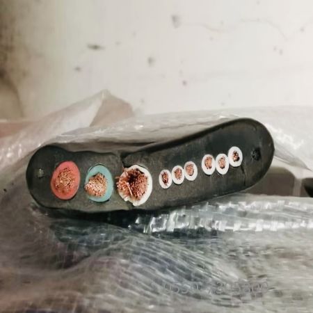 bte365(中国)唯一官方网站