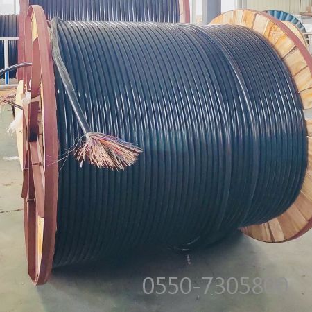 bte365(中国)唯一官方网站