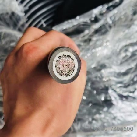 bte365(中国)唯一官方网站