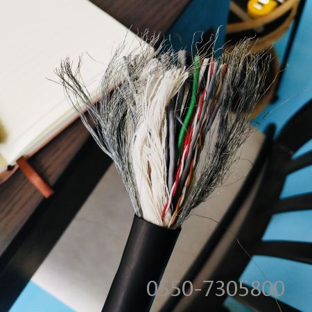 bte365(中国)唯一官方网站