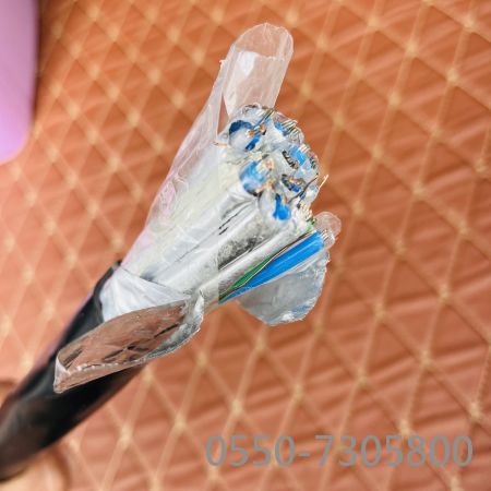 bte365(中国)唯一官方网站