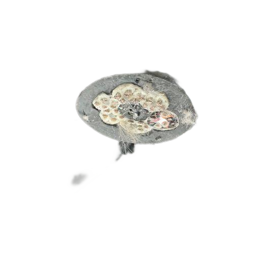 bte365(�й�)Ψһ�ٷ���վ