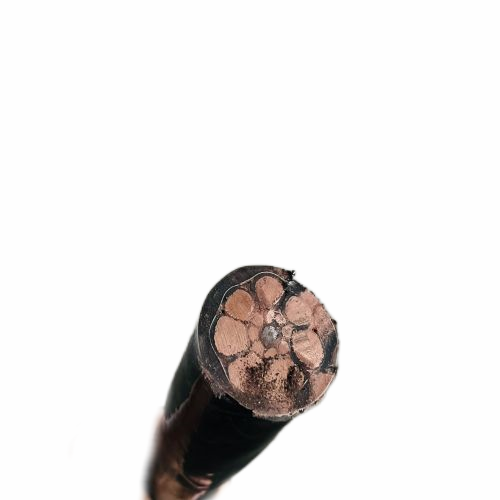 bte365(中国)唯一官方网站