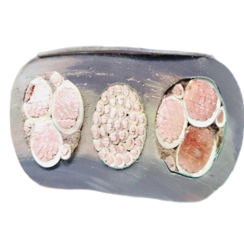 bte365(�й�)Ψһ�ٷ���վ
