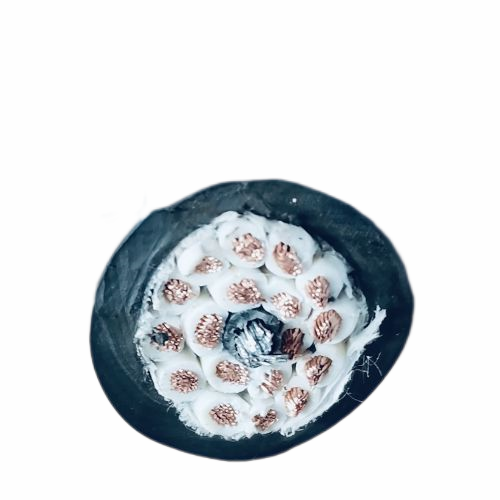 bte365(中国)唯一官方网站