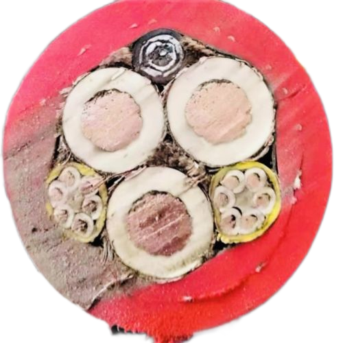 bte365(中国)唯一官方网站
